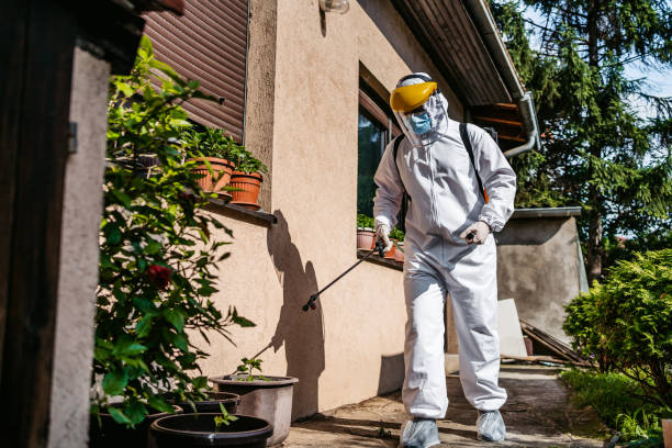 Best Best Pest Control Companies  in Emory, VA