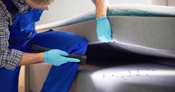 Best Emergency Pest Control  in Emory, VA